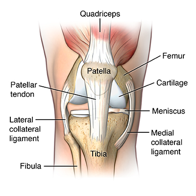 Jumper's Knee Diagram